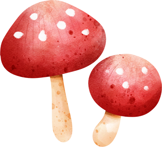 Mushroom